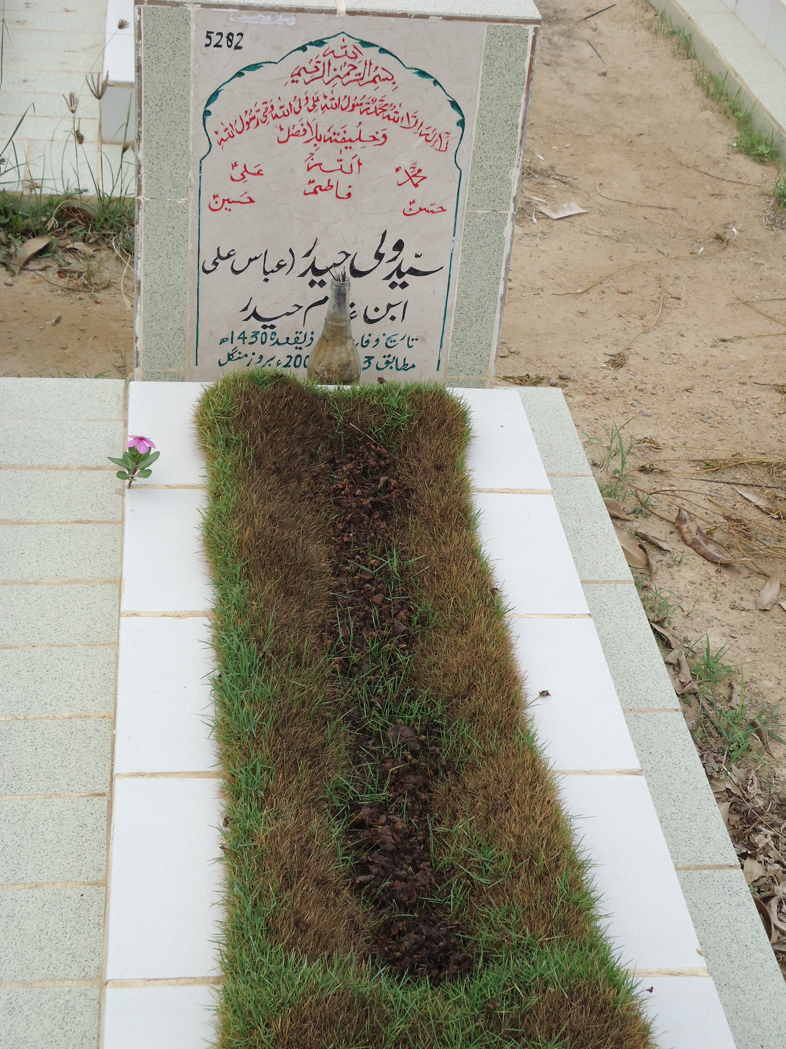 5282 – Syed Wali Haider